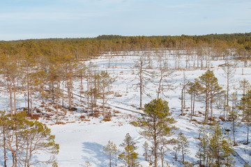 Viru Raba swampland from above at winter snowy season. Lahemaa National Park In Estonia. Winter Cold And Frosty Landscape.