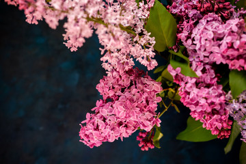 Identical Submission: Images within this submission are identical.