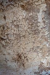 Old Weathered House of the Mud Wall