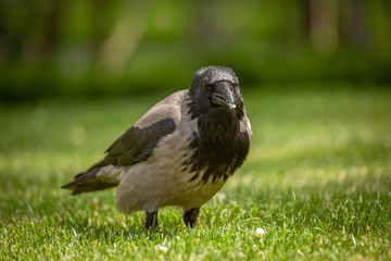 traveling around Istanbul Turkey 