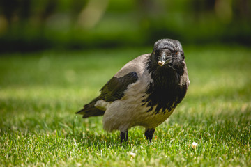 traveling around Istanbul Turkey 