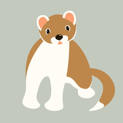 cartoon ermine, vector illustration,flat style