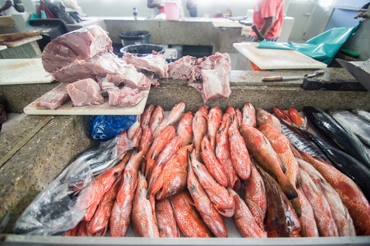 Fish market  in Kingstown Saint Vincent and the Grenadines Caribbean sea on December 8, 2017