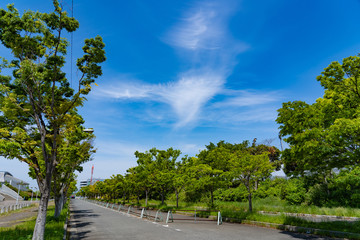 此花区　周辺の風景