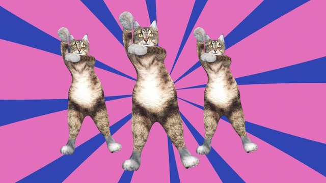 Comic tomcats waving paws and tail in an energetic clip summer mood. A cute brown pussycats dancing together in a modern style in tunnel colour space. Cool and the best moves in stylish of 80s and 90s