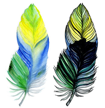image of feathers of ecozotic birds (peacocks, pheasants, parrots). Set of 2 images. Color green-blue