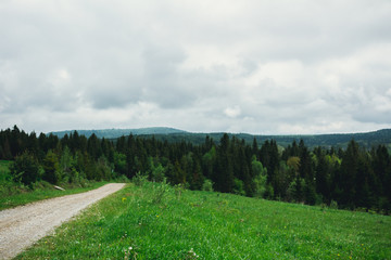 The mountains are covered with forest, after rain