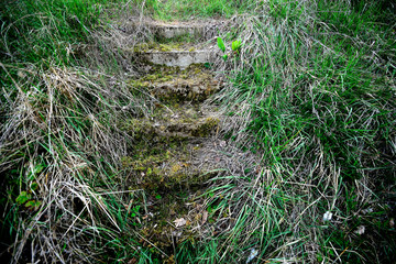 stairs covered with vegetation in the green ring of Vitoria-Gasteiz (Alava), Basque Country, Spain