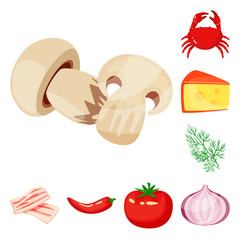 Vector illustration of food  and flavors sign. Set of food  and ingredient  stock vector illustration.