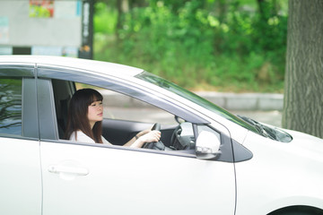 自動車・女性・新緑