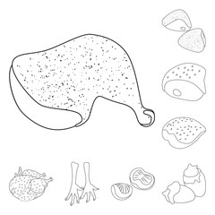 Vector illustration of food and grilled logo. Collection of food and bird  stock symbol for web.