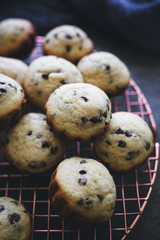 Close-Up of Mini Blueberry Muffins