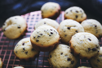 Close-Up of Mini Blueberry Muffins