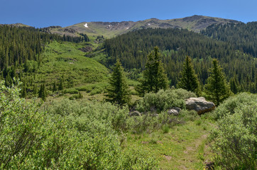Fototapeta na wymiar hiking trail in Lake Creek Valley on the slopes of Sawatch Range (Lake County, Colorado, USA)