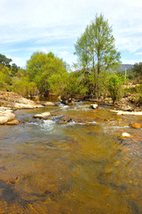 Robledillo river or Riofrio in the Natural Park of the Valley of Alcudia and Sierra Madrona, province of Ciudad Real, Spain