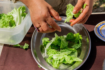 natural and organic salad products, ready to eat