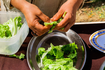 natural and organic salad products, ready to eat