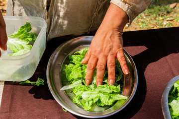 natural and organic salad products, ready to eat
