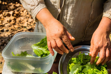 natural and organic salad products, ready to eat
