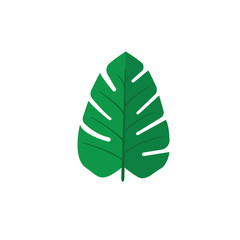 Vector tropical  leaves on white background. Quality watercolor imitation. Not trace. - Vector