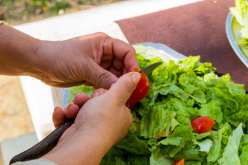 natural and organic salad products, ready to eat