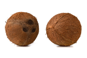 Coconuts on a white background. Two coconut close-up on a white background.