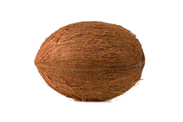 Coconut on a white background. One coconut close-up on a white background.