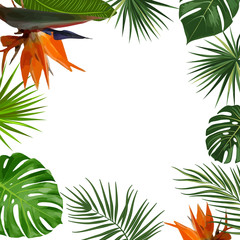 Vector tropical jungle frame with palm trees, flowers and leaves on white background