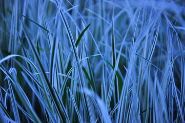 красочный фон