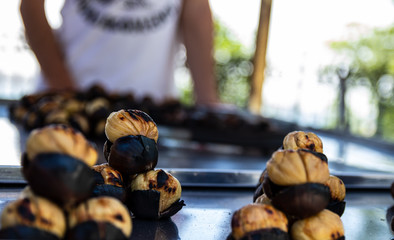 cake with chocolate and nuts