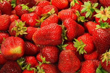 Strawberry. Fresh berries macro. Fruit background. Top view.