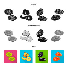 Isolated object of food  and raw  symbol. Set of food  and nature   stock symbol for web.