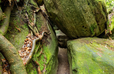 Dismal's Canyon, Alabama