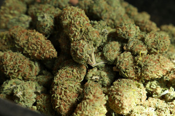 Marijuana medical, pile of retail trimmed weed closed up