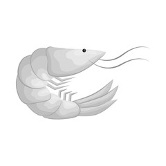 Vector illustration of prawn  and creature  symbol. Set of prawn  and fresh  vector icon for stock.