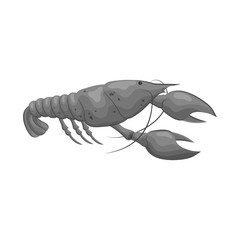 Vector illustration of lobster and red symbol. Set of lobster and fresh  stock symbol for web.