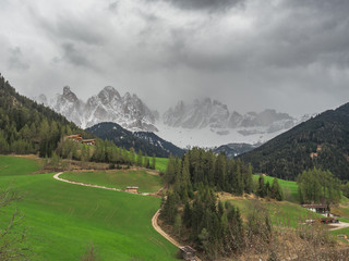 view of alpine valley with lots of vegetation with snowy mountains in the background on cloudy day