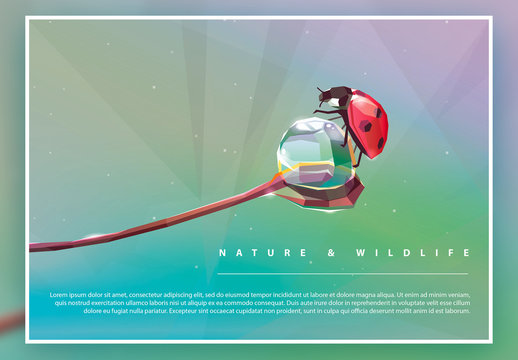 Geometric Natural Illustration Poster Layout with Ladybug