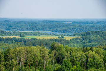 Obraz premium endless fields and forests with green trees under fog in countryside