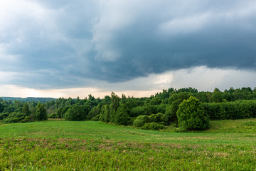 endless fields and forests with green trees under fog in countryside