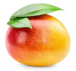 Mango isolated on white