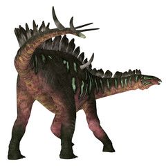 Miragaia Dinosaur Tail - Miragaia was a armored stegosaurid sauropod dinosaur that lived in Portugal during the Jurassic Period. © Catmando