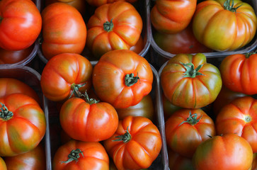 boxes full of red tomatoes for sale