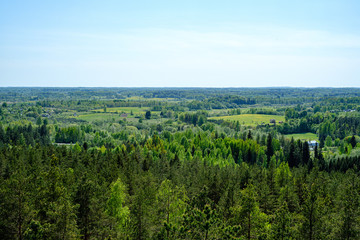 endless forests in summer dayat countryside from above