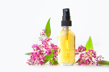 Obraz na płótnie Canvas spirea essential oil in beautiful bottle on White background