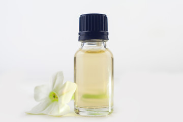 winged tobacco essential oil in  beautiful bottle on White background