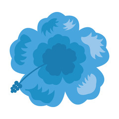 exotic tropical blue flower