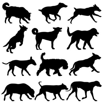 Set silhouette dog on a white background