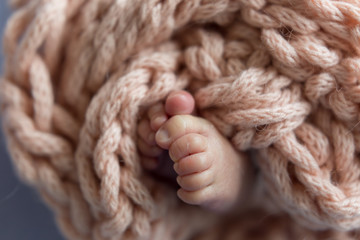 newborn child. baby legs. the legs of the newborn. legs on background. child's feet