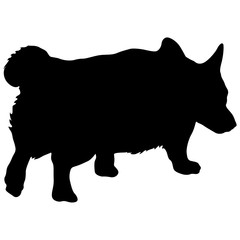 Welsh Corgi dog silhouette on a white background